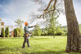 Best Tree Planting  in Altamont, IL